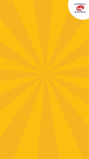 Scan the QR code on pack to win 3 trips to Universal Studios Japan & 100 other prizes! Check out aafbacktoschool2025.ae! | Al Ain Farms - مزارع العين | Facebook