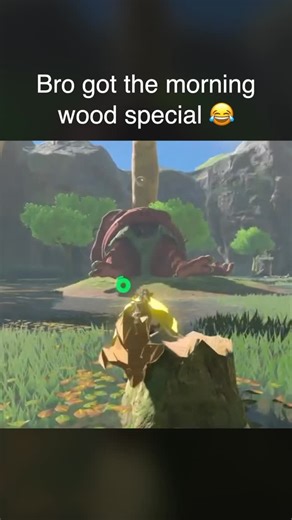 Destructoid on Instagram: "Quite the way to wake up 😬 #Zelda #ZeldaBOTW #zeldabreathofthewild #zeldamemes #nintendoswitch2"