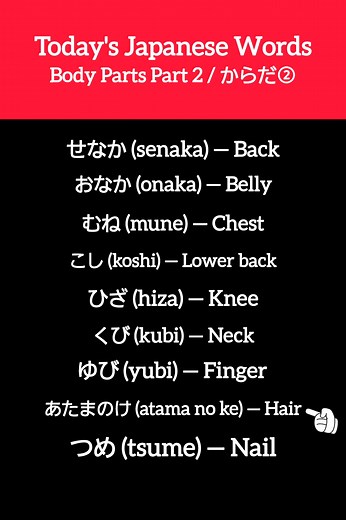 5.4K views · 74 reactions | Today's japanese words body parts (Part 2) #japaneselanguage #nihongo #fyp #日本語 #japanese #japaneselesson #にほんご #learnjapanese | Life in Japan | Facebook