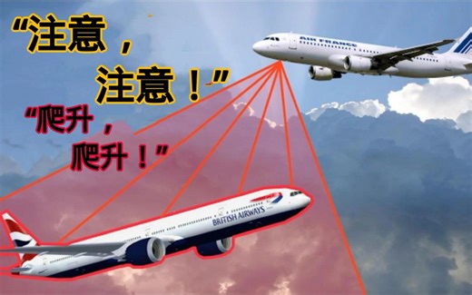 【双语•航空科普】空中防撞系统TCAS是什么「Captain Joe」