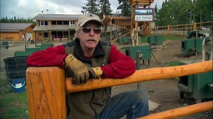 Dogs Man's Best Friend Modern Marvels (S17, E5) - video Dailymotion