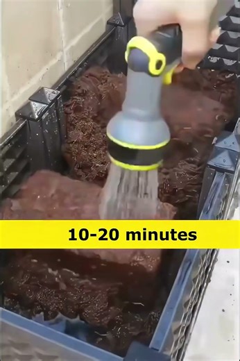 Imported Natural Coco Peat Brick! 🌱 #CocoPeat #GardeningTips #PlantCare