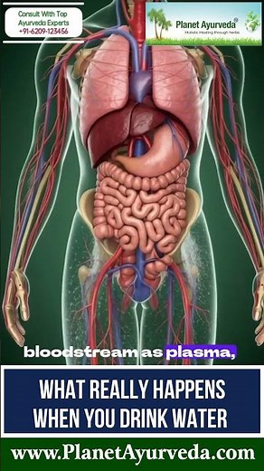 How Drinking Water Works in Your Body | Absorption, Hydration & Cell Function Simple Explanation!