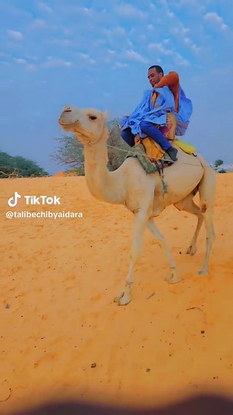 Aïdara Cherif wakhyertou