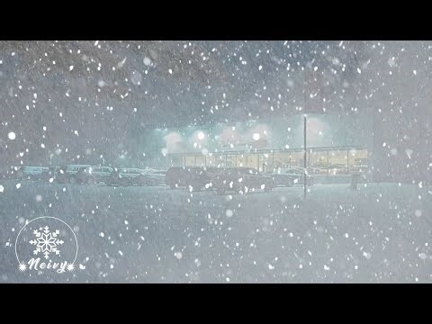Winter Blizzard: Calming Snowstorm Sounds for Stress Relief and Deep Sleep