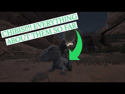 CHIBIS IN ARK!!! HOW TO GET/WHAT THEY DO!!!