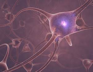 3D Animation of Neurons Firing - Jon Baugh