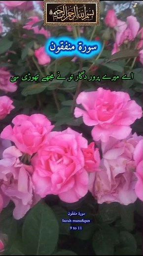 hadees e hazrat Muhammad,hadeese in urdu shorts, hadeese qudsi‎