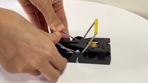 Mouse Traps, Mouse Traps Indoor for Home Quick Effectively, [2025 Edition] Mice Trap for House Indoor Kill Safe for Family and Pet 12 Packs