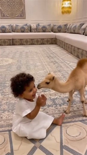 🐫 CamelCode | Ai Creator on Instagram: "Adorable cute camel 🐫😍"
