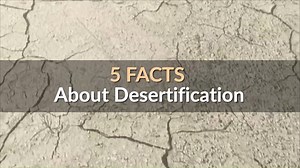 128K views · 1.4K reactions | Although 60% of its land is desert, Israel is the only country in the world where the desert is receding, As a result, the UN determined Israel is an expert in combating desertification. Israel continues to contribute to the global effort to combat desertification by sharing its know-how, best practices and technologies for a better, greener & healthier world. #2018WDCD | Israel Ministry of Foreign Affairs | Facebook