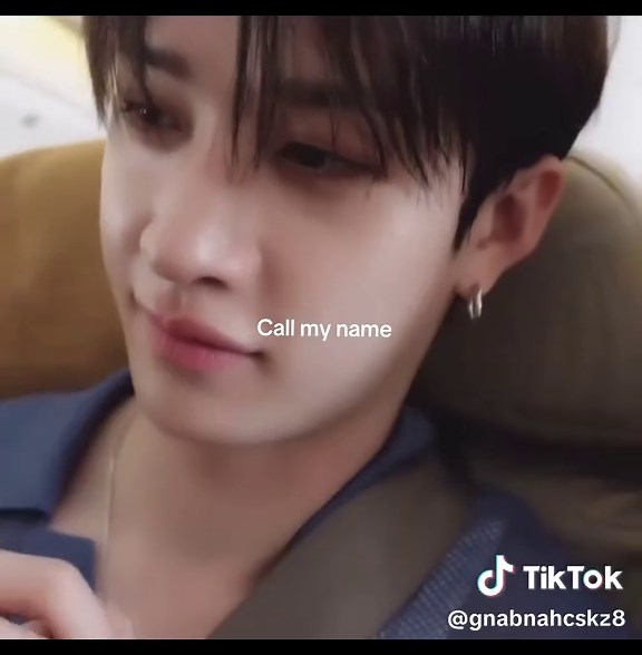 Celebrating Bang Chan's Birthday with Stray Kids