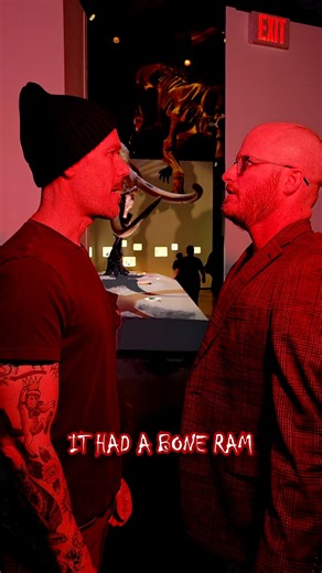 When you learn factual strange things! 😲🤯 Turn your world upside down by diving into strange, yet beautiful things at #HMNS. #StrangerThings | Houston Museum of Natural Science