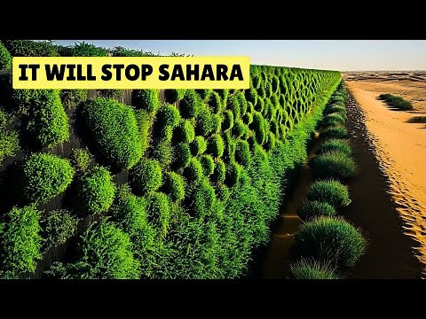 The Wall That Can Stop the Sahara: Africa’s Incredible Green Wall