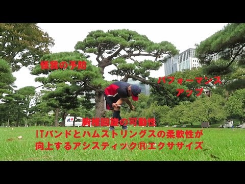 胸椎回旋の可動性・ITバンドとハムストリングスの柔軟性が向上するアシスティック®エクササイズ【アシスティック®アーム & レッグ クロス フォワード フォールド ローテーション】