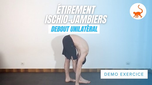 Étirement - Ischio-jambiers - Debout - En unilatéral