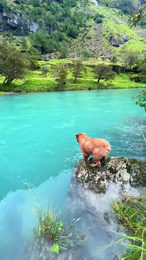 Stick Figure on TikTok