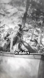 Exploding Dogs of World War 2 🤯