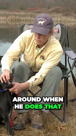 How To Stop Your Puppy From Biting Before It is Too Late