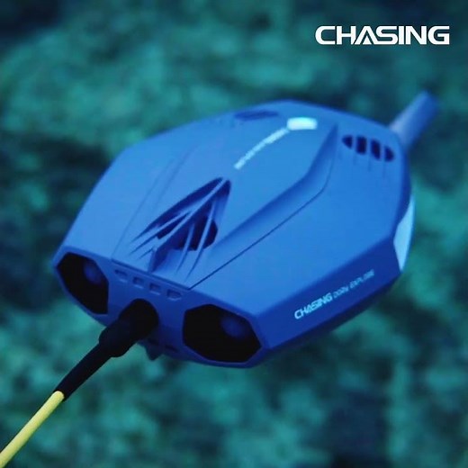 Explore underwater and find surprises Try CHASING Dory Explore