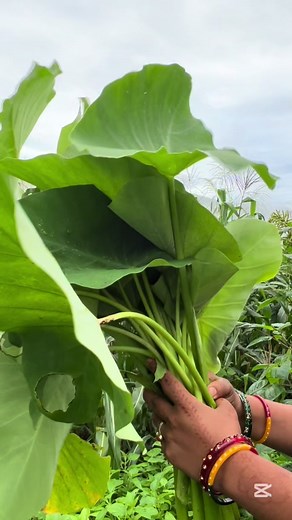 Karkalo Gava Recipe: A Delicious Organic Dish