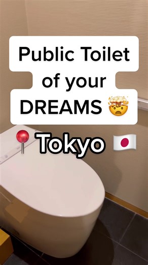 Japanese Toilets in 2050: Innovations You Need to See