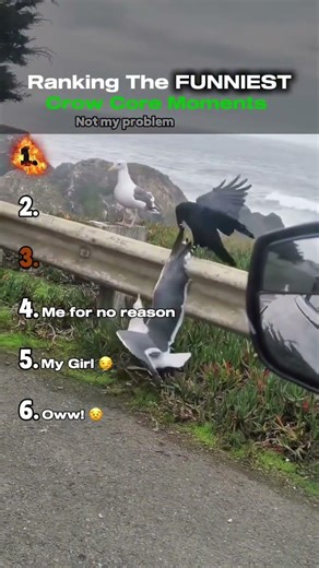 Crow Core moments Ranked