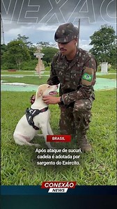 Após ataque de sucuri, cadela é adotada por sargento do Exército.