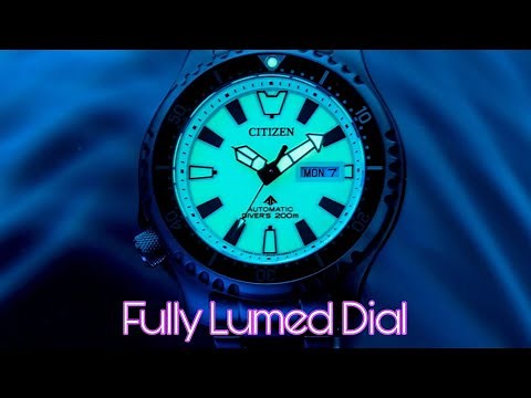 Citizen NY0155-58X Promaster Automatic Full Lume Dial