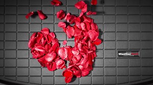 11 reactions |  Roses are red Messes are gross Pick up a Cargo Liner That your car lover needs most  | WeatherTech | Facebook