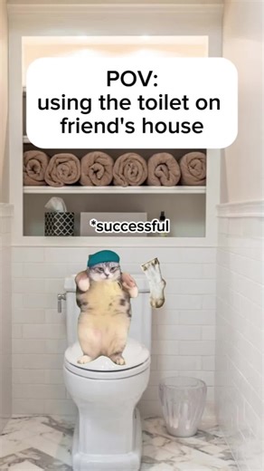 explosive diarrhea but on someone else's house 🏠 😐 #fyp #catmeme #meme #pov #germancat #catpov #funny #cats #cats #fyppppppppppppppppppppppp #game