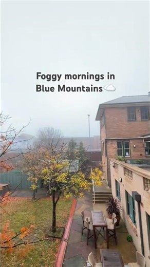 A peaceful little escape. YHA Blue Mountains Katoomba. ⛰️☁️ #Katoomba #BlueMountains