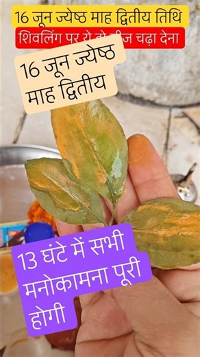 On 16th June, the second day of Jyeshtha month, offer these two things to Shivling, your wish wil...