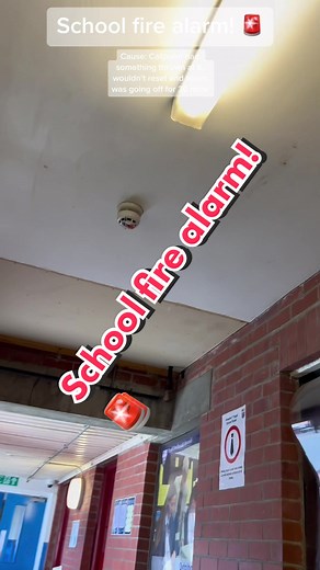 School fire alarm! 🚨 #firealarm #fyp #viral #blowup #hochiki #school #_firealarmboy_ #ollysfirealarms