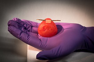 Researchers 3D print lifelike artificial organ models