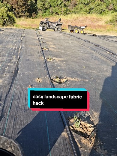 How we made 1000 holes for lavender. #gardentip #plantinglavender #landscapefabric