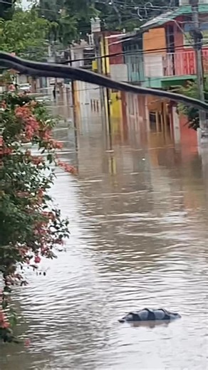 Sole Del Valle on Reels