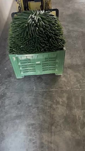 #importexport #export #import #exportimport #internationaltrade #business #exporters