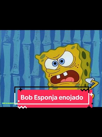 Bob Esponja se enoja: ¡Mortal meme!