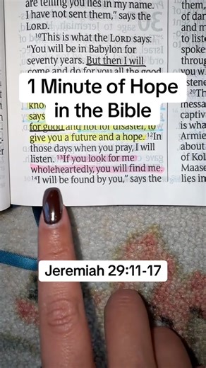 15K views · 844 reactions | Jeremiah 29:11-17 #bibleverse #bibletruth #readingbible #biblestudy #HopeInChrist #jesussaves #jesuschrist #bible #dailydevotion #godblessyou #dailyverse | Read Bible | Facebook