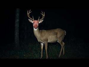 Unnerving Images With Unnerving Music 5