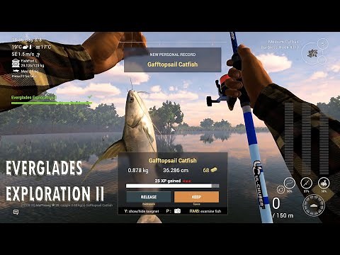 Fishing Planet - Everglades Exploration II - How to catch Gafftopsail Catfish on Everglades