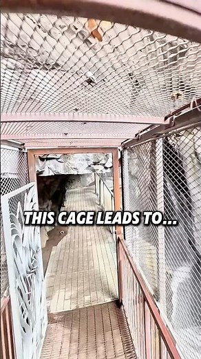 Ouray’s Most Epic Adventure Spot Revealed!