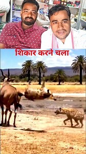 এত বড় প্রাণী শিকার করতে বের হয়েছিল—দারুণ সাহস! #HuntingAdventure #BraveMoment #Wildlife #Animal Danger | Babur Ali