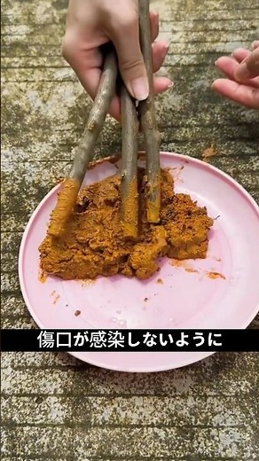 Propagate Bougainvillea from a Single Cutting | Easy Propagation Method