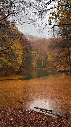 Amazing spring views #nature #spring #relaxingsounds