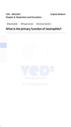 Neutrophils Function Explained 12th Biology Respiration Circulation