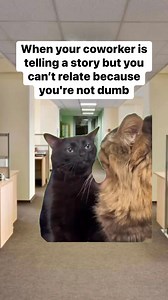 3.5M views · 44K reactions | I don’t have the bandwidth for this #work #workhumor #workplacehumor #workmemes | gnarlyoodles | Facebook