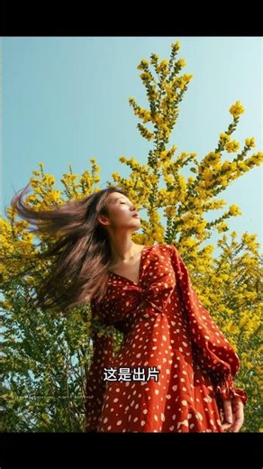 Capture Spring's Beauty: Photo Tips for Blossoms & Trees