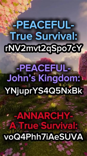 2025 Top 3 Survival Realms in Minecraft